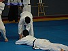 DSCI0647