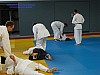 DSCI0666